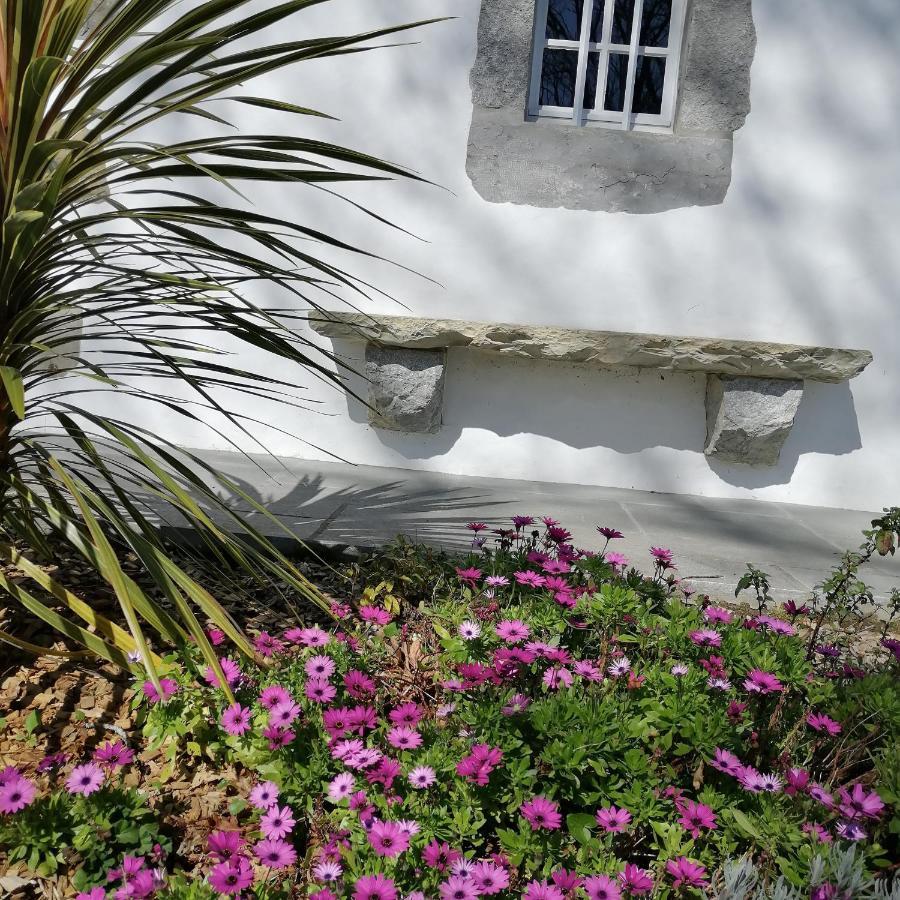Maison D'Hotes Villa Xaran Erdian 에스플레트 외부 사진